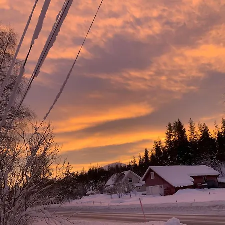 Rum i privatbostad Landgard Feriehus, Sentrum, Only A 5 Minutes Drive *