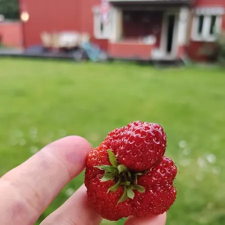 Séjour chez l'habitant Landgard Trysil