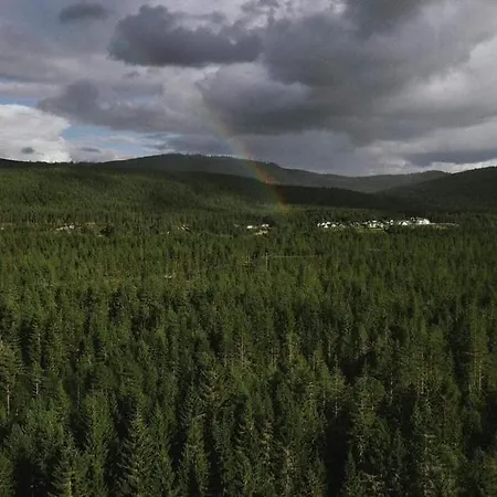 Landgard * Trysil